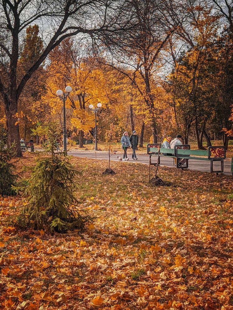 Photograph by Александр Наумов