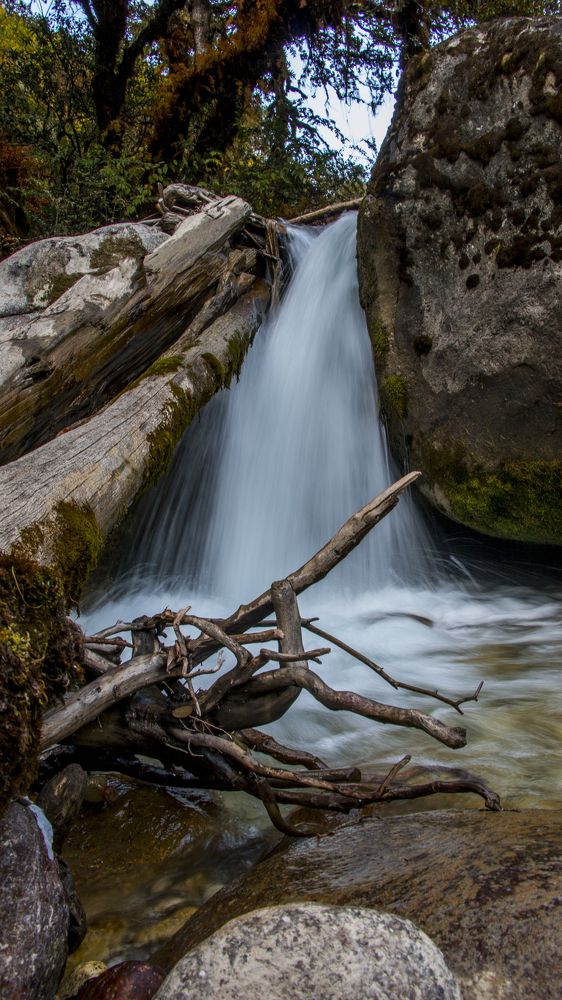 Photograph by Chencho Wangdi