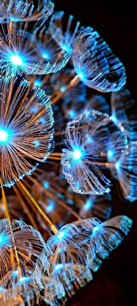 Фотография автора Ольга Попова