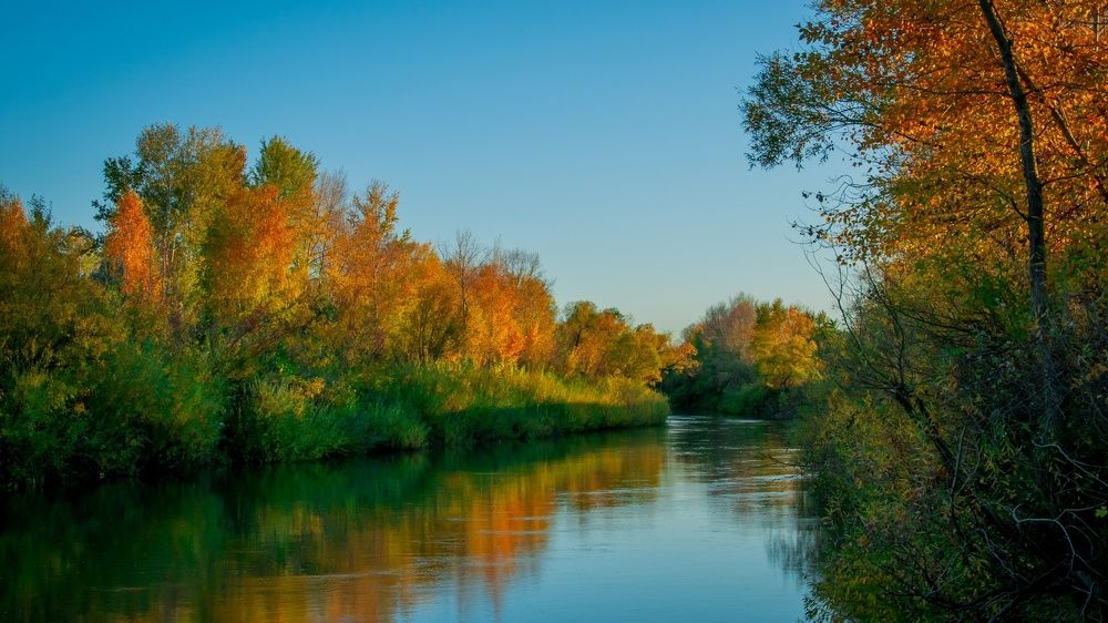 Фотография автора Ivan Karpoff