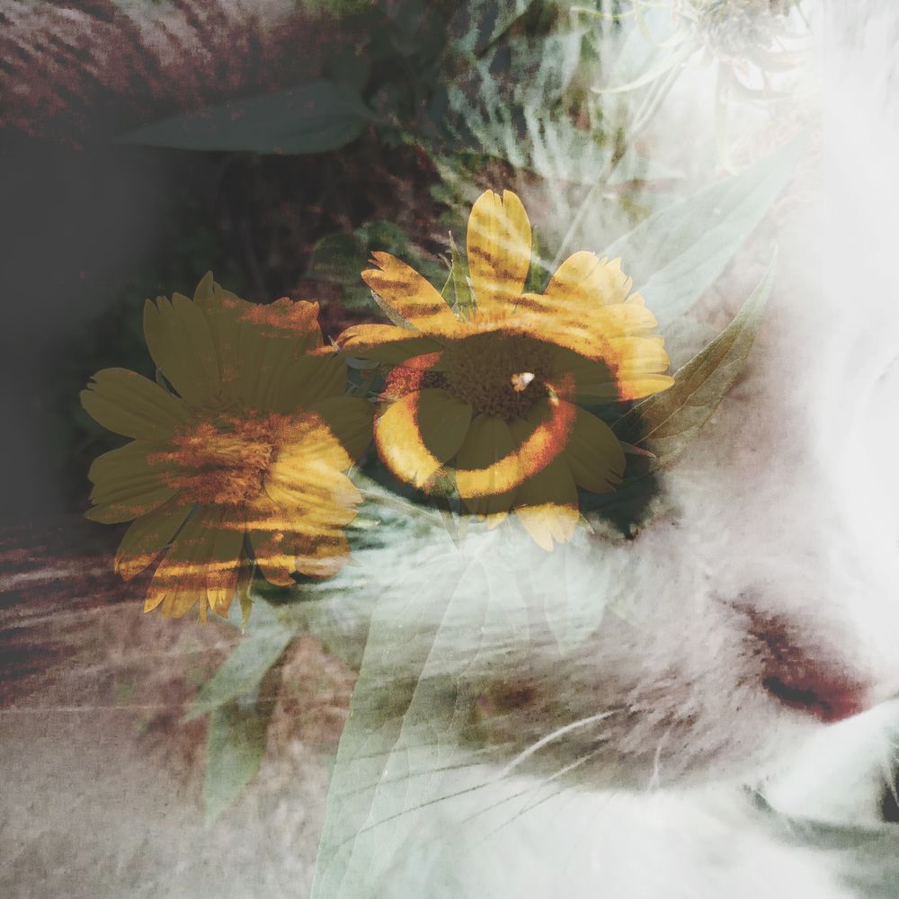 Photograph by Светлана Зубанова