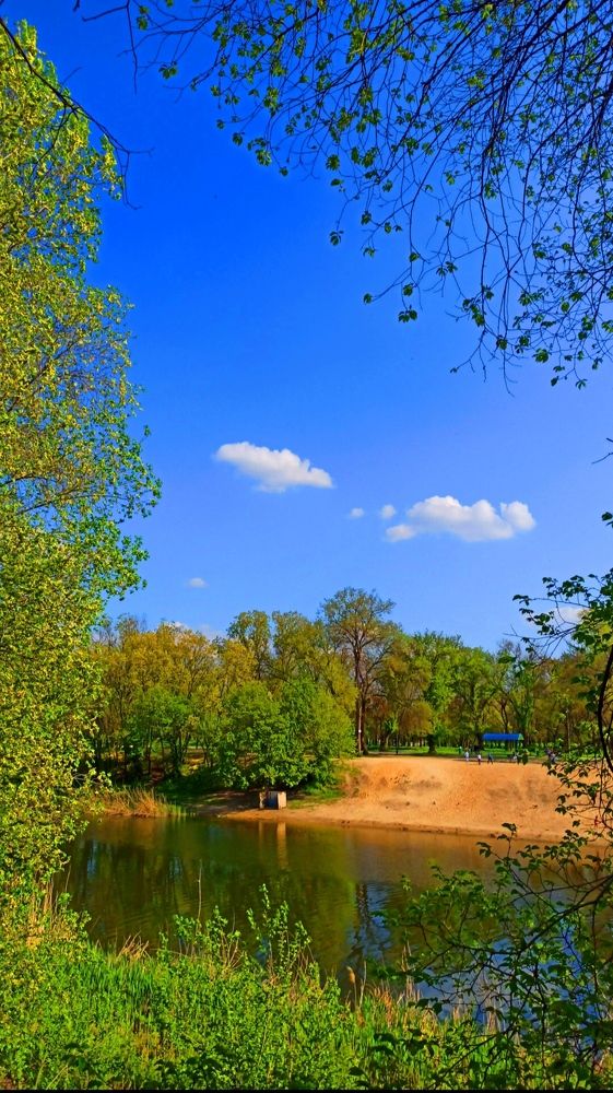 Photograph by Наталия