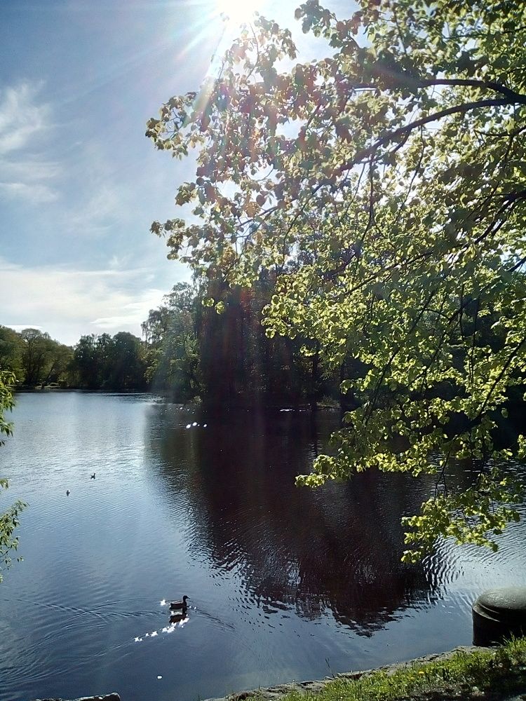 Фотография автора Irina Mihailovskaya