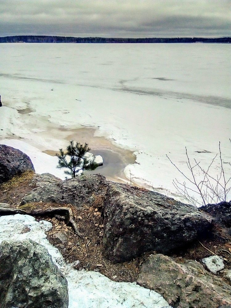 Фотография автора Irina Mihailovskaya