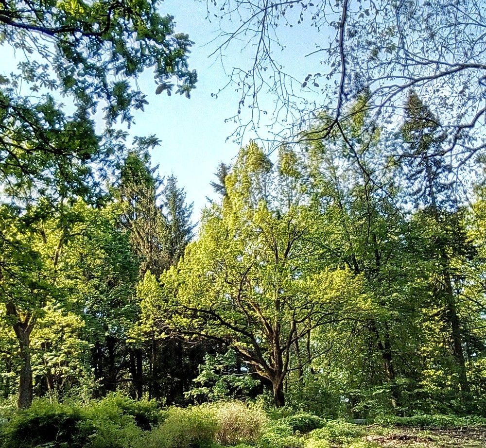 Фотография автора Irina Mihailovskaya