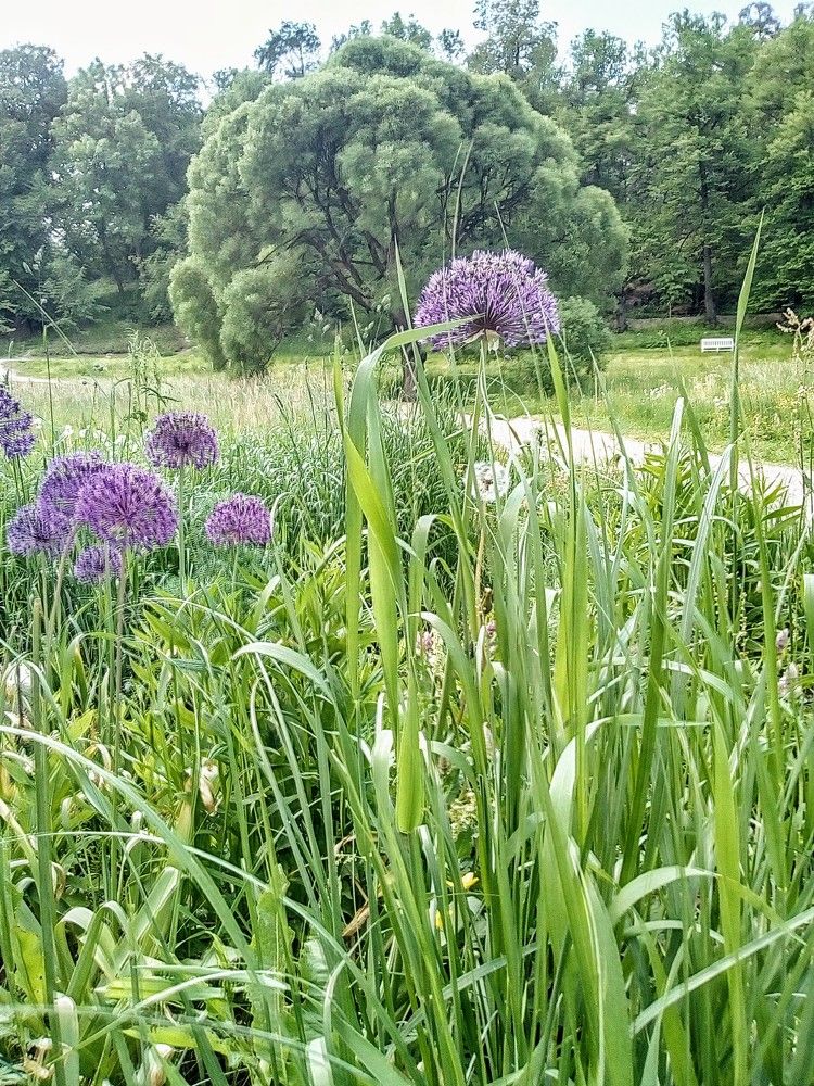 Фотография автора Irina Mihailovskaya