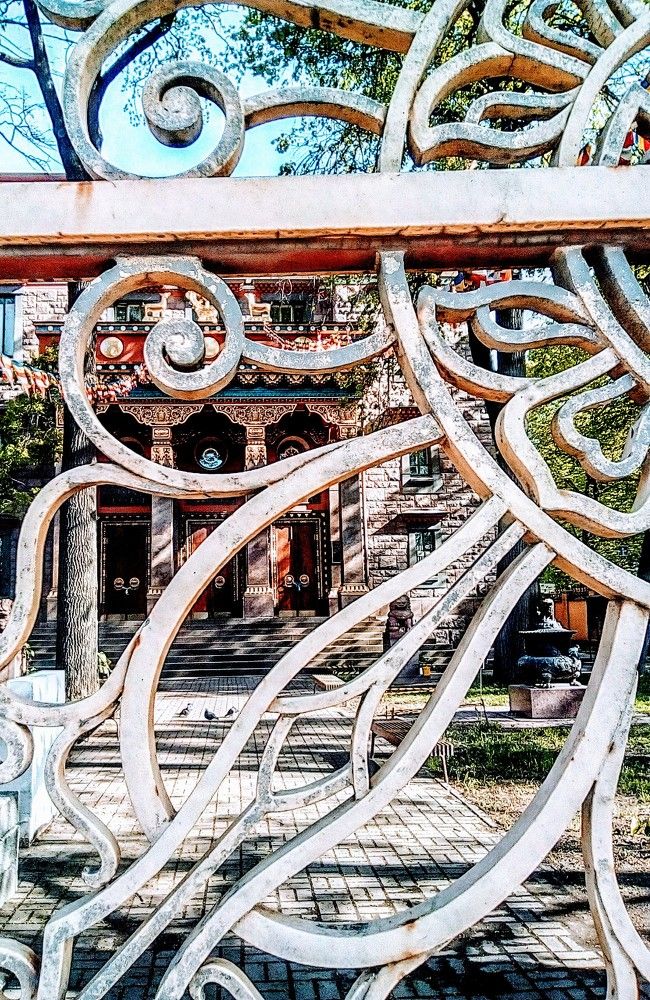 Фотография автора Irina Mihailovskaya