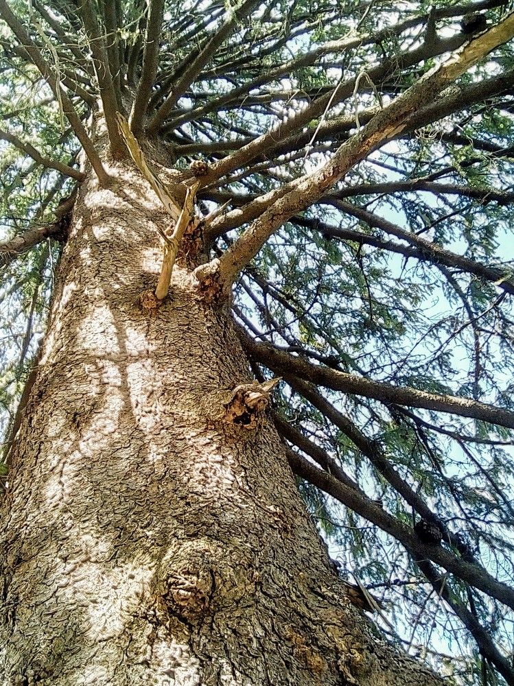 Фотография автора Irina Mihailovskaya