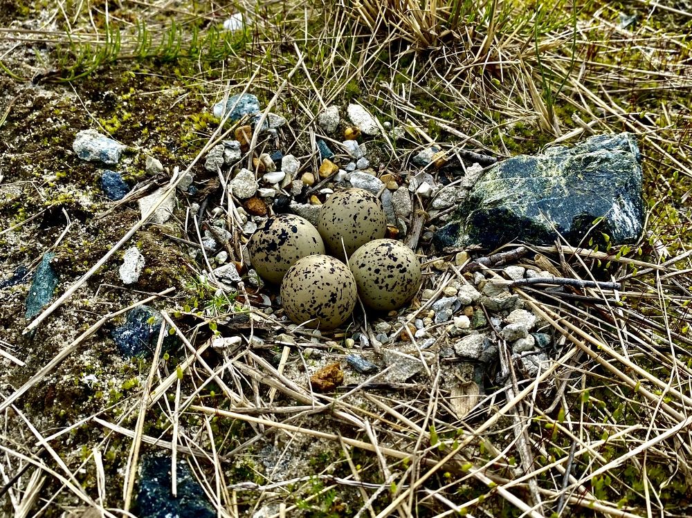 Photograph by Алексей