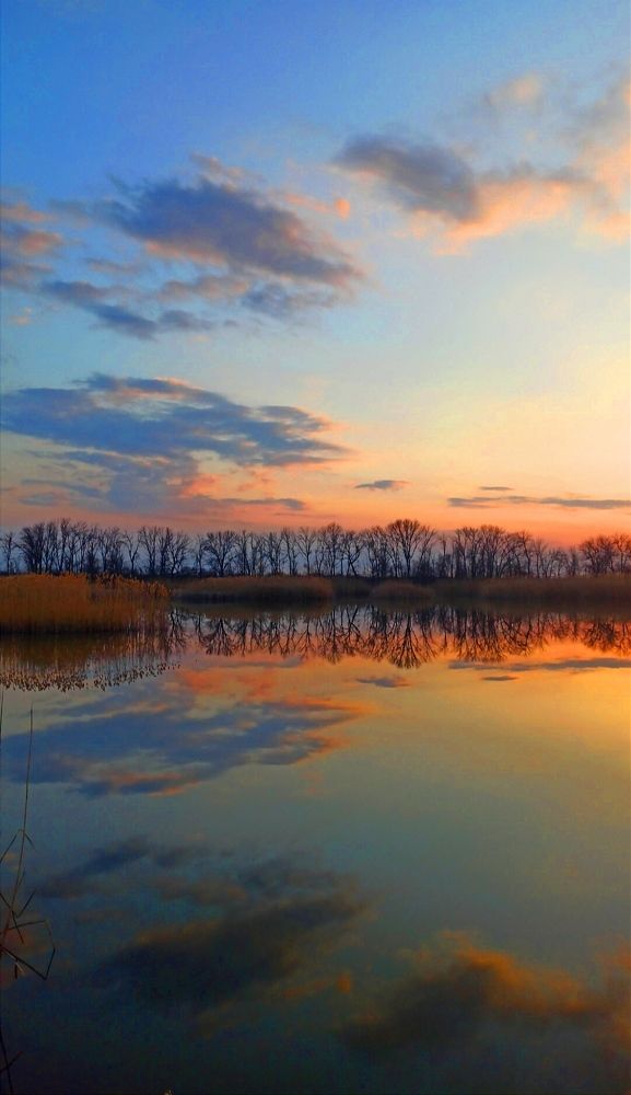 Photograph by Наталия