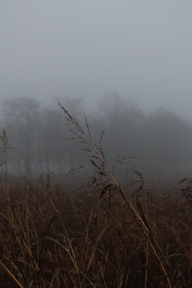 Photograph by Татьяна Долгушева