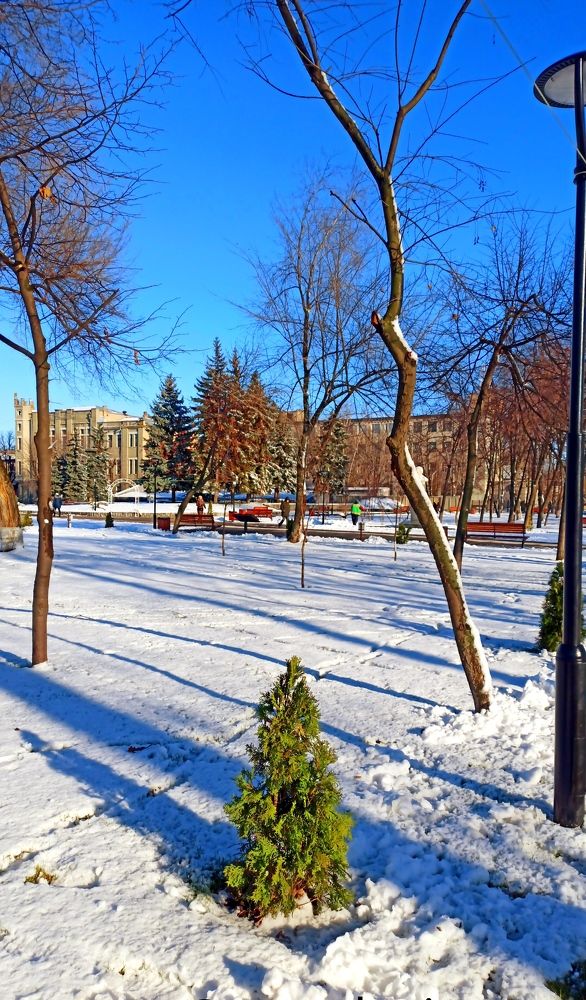 Photograph by Наталия Крайник