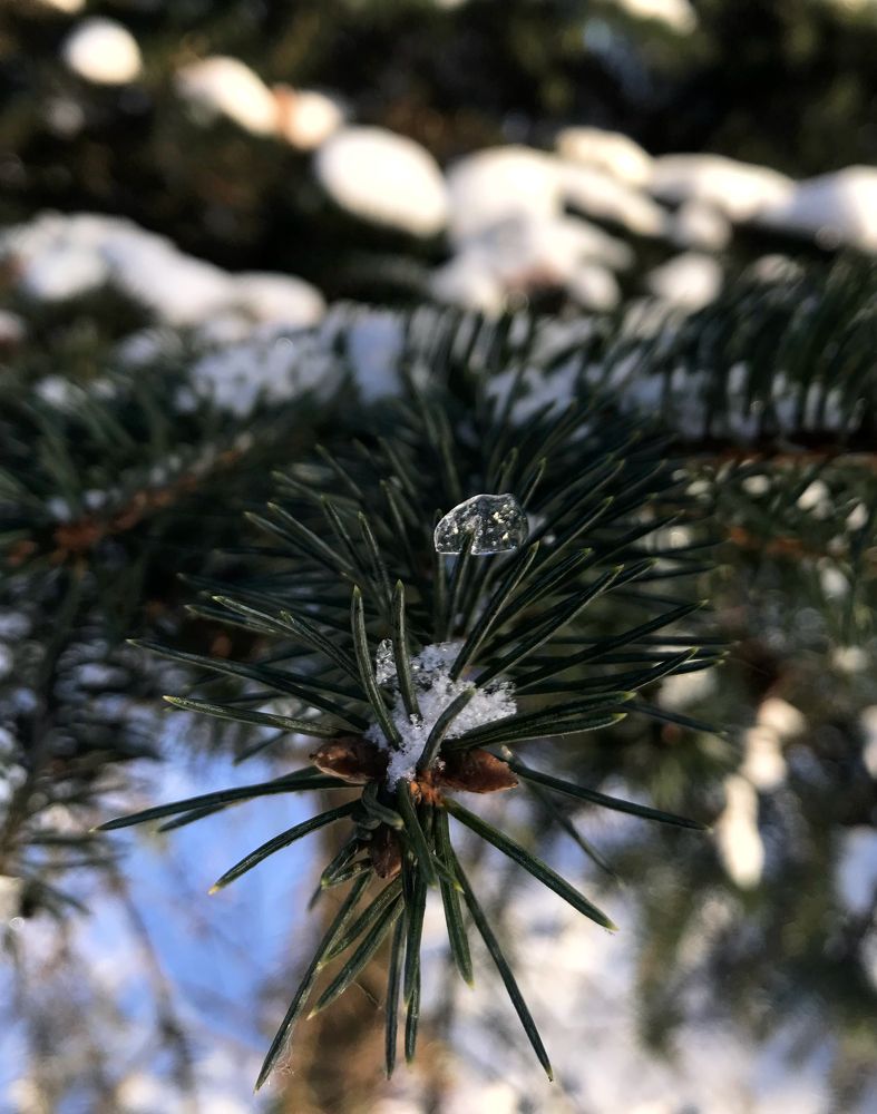 Photograph by Любовь М.