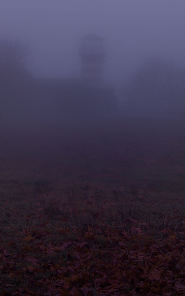 Photograph by Татьяна Хуссейн