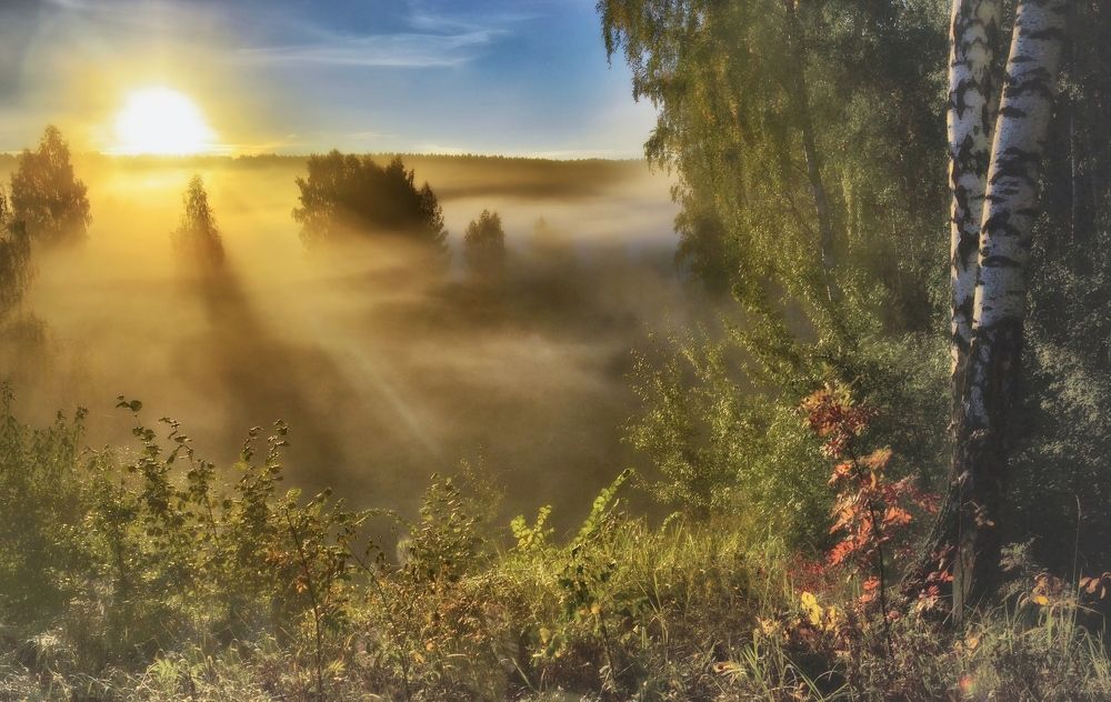 Photograph by Александр Кульгин