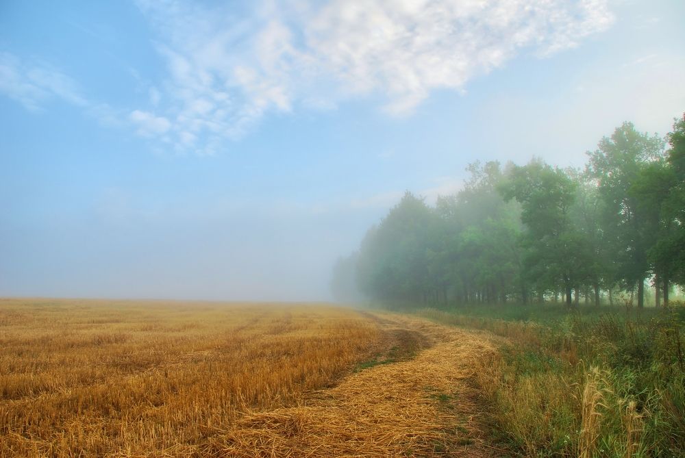 Photograph by Александр Кульгин