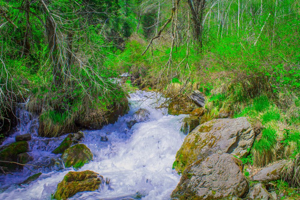 Фотография автора Ivan Karpoff