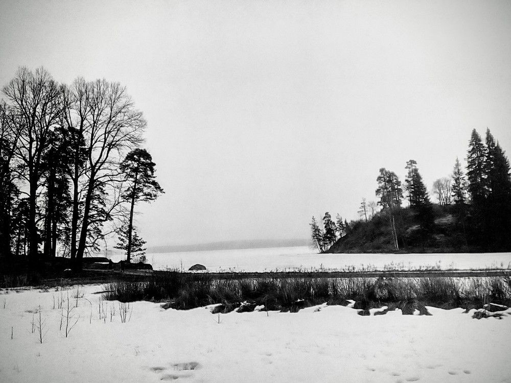 Фотография автора Irina Mihailovskaya