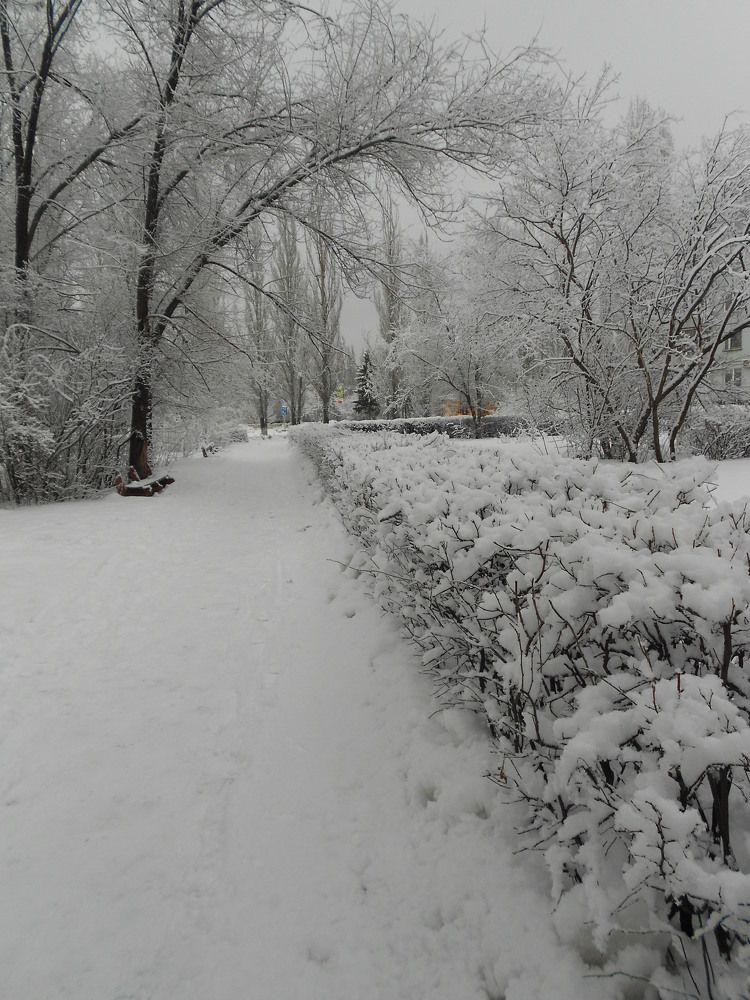 Фотография автора Любовь Панфилова