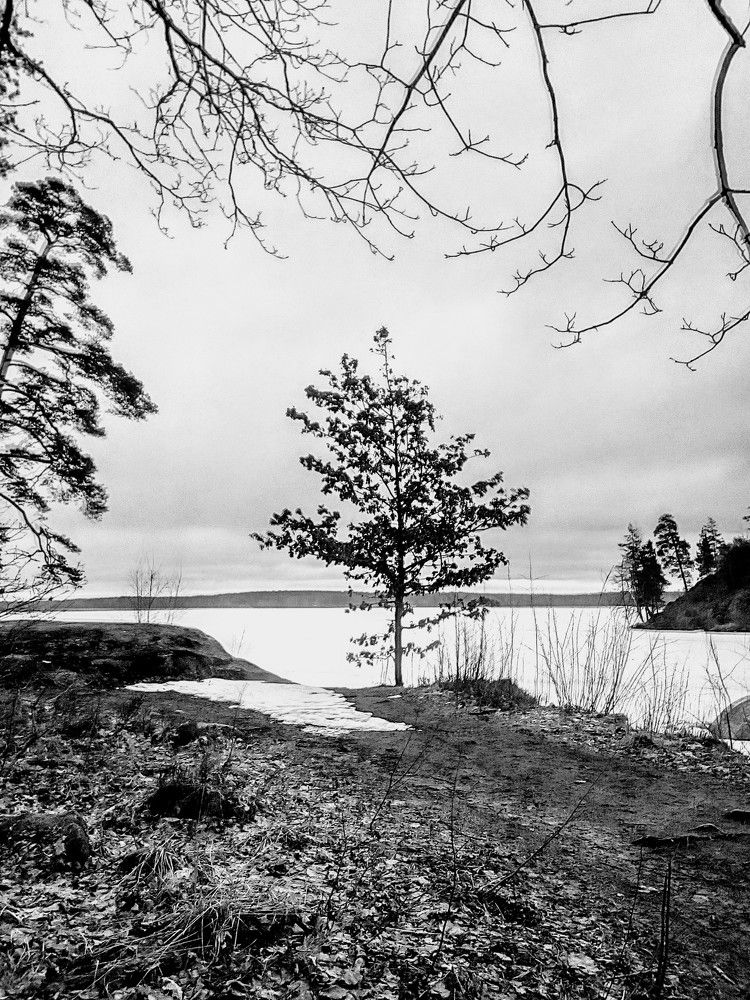 Фотография автора Irina Mihailovskaya