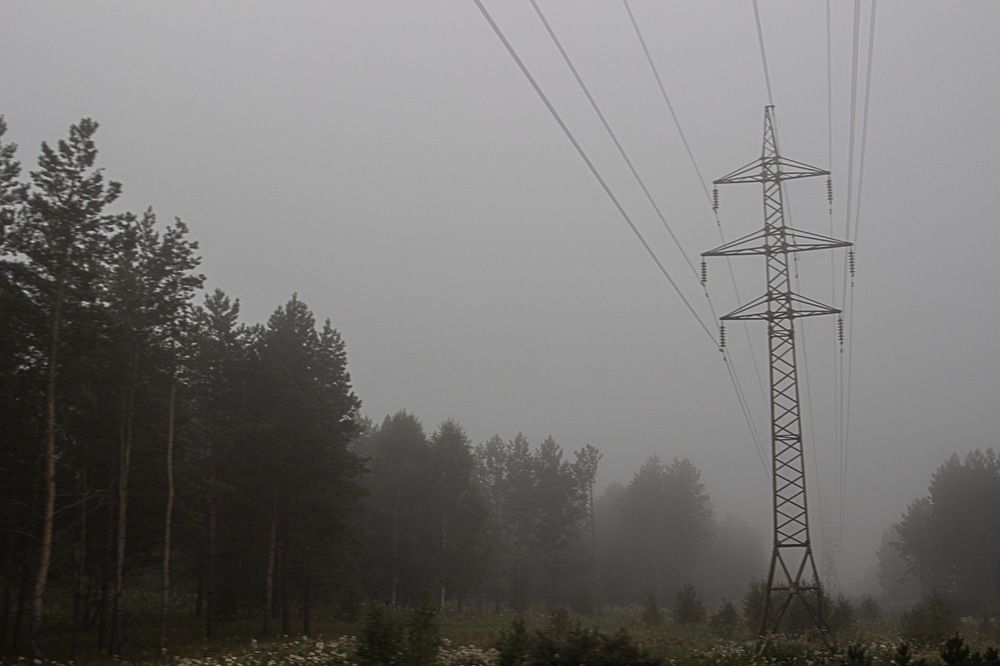 Фотография автора Екатерина Першина