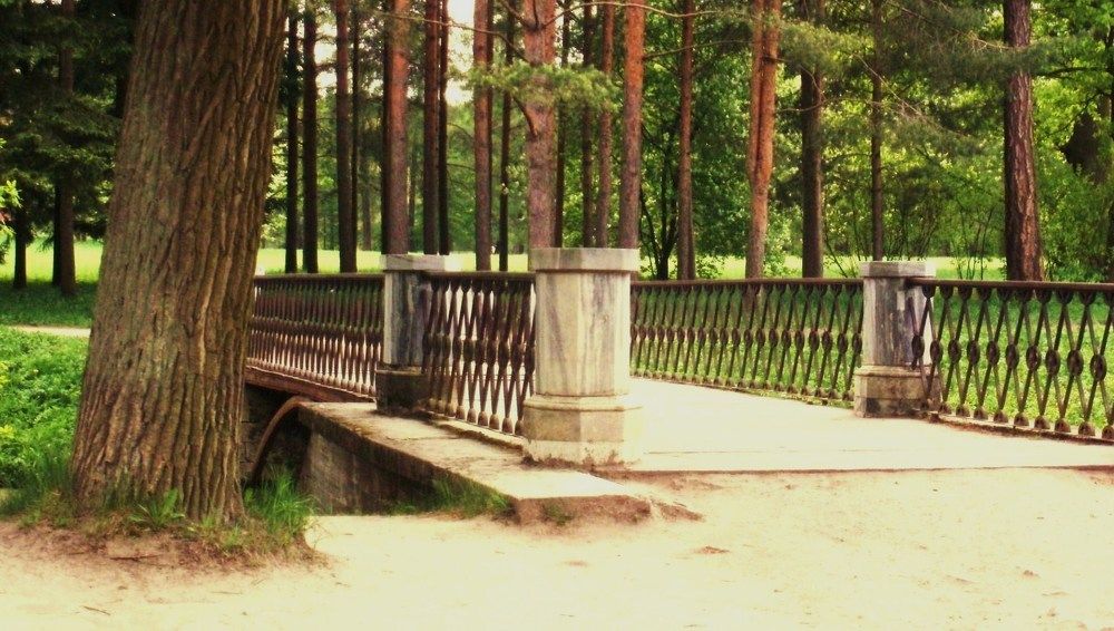 Фотография автора Irina Mihailovskaya