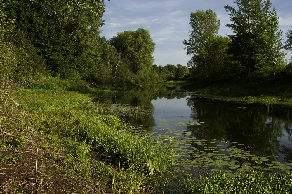 Photograph by Павлов Дмитрий