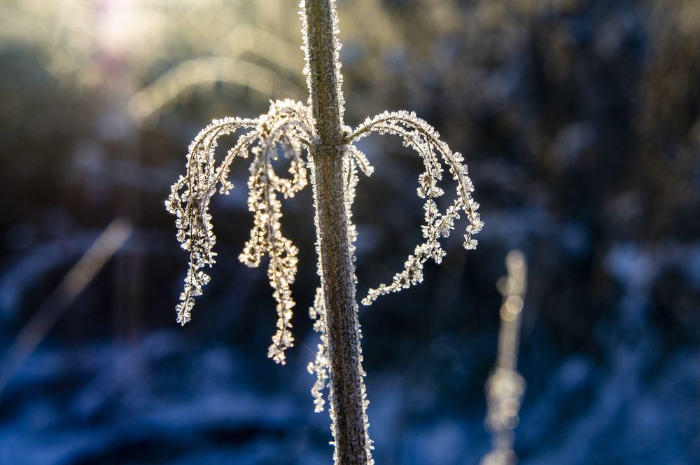 Фотография автора Павел Минкевич
