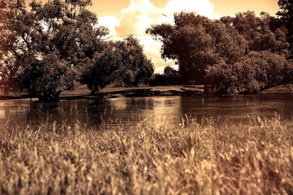 Photograph by Павлов Дмитрий