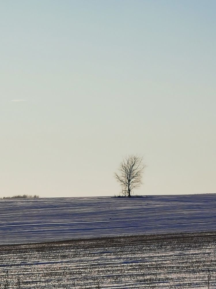 Фотография автора Рутковская Жанна