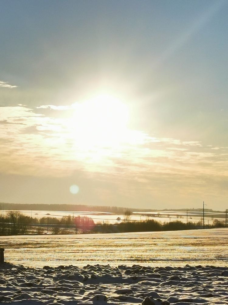 Фотография автора Рутковская Жанна
