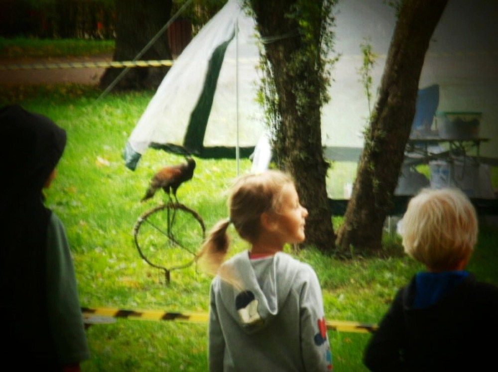 Фотография автора Irina Mihailovskaya