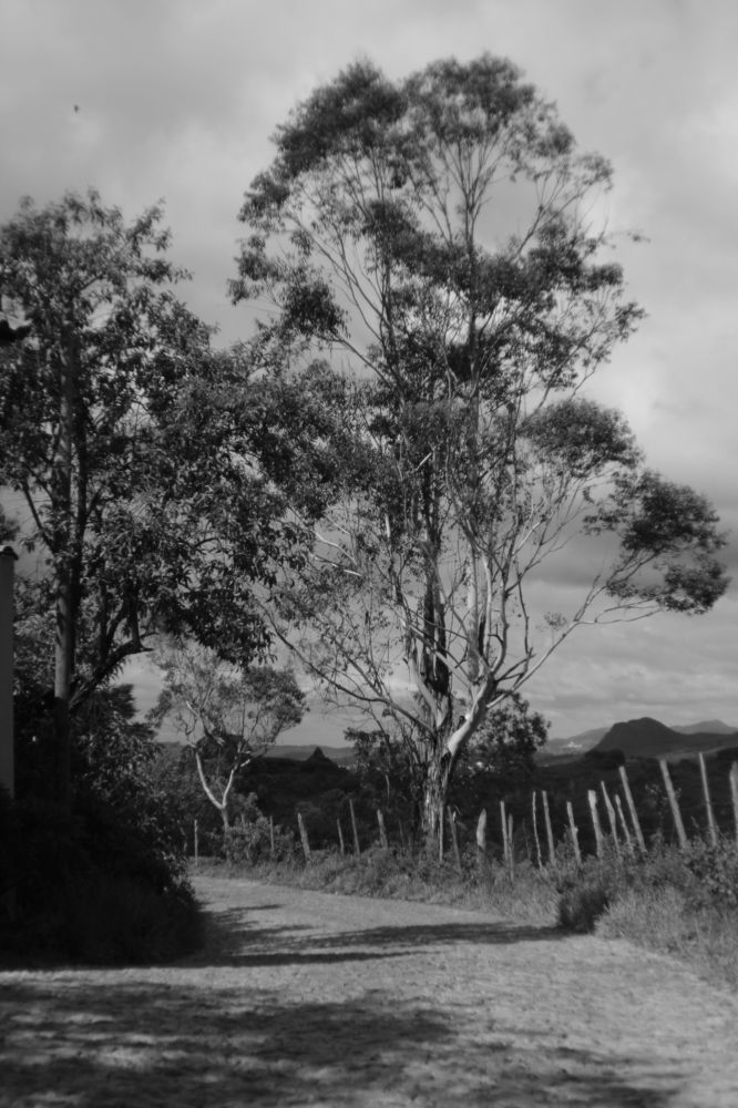 Фотография автора Jamilya Tapaskhanova