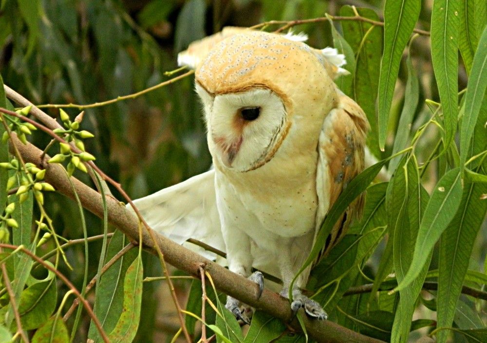 Фотография автора Сергей Рапопорт