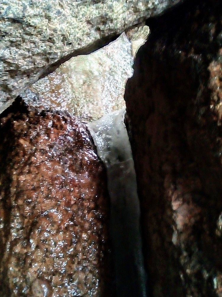 Фотография автора Irina Mihailovskaya