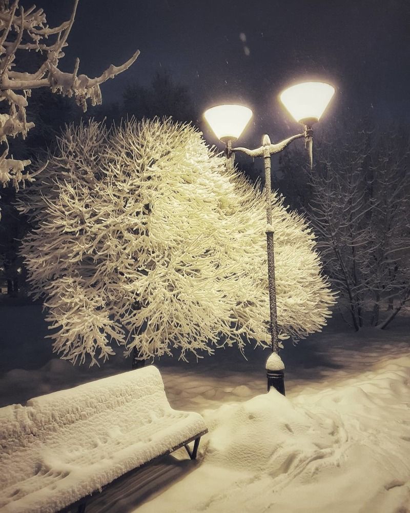 Photograph by Юлия Таран