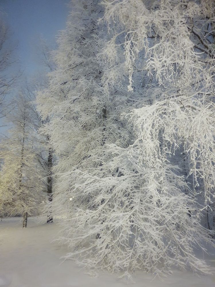 Photograph by Юлия Таран