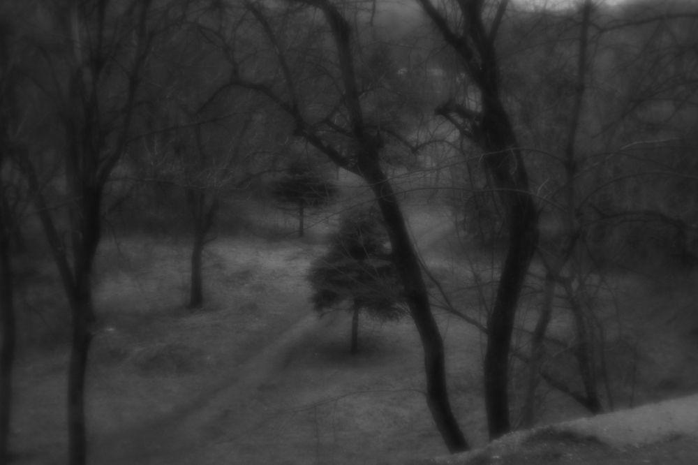 Фотография автора Jamilya Tapaskhanova