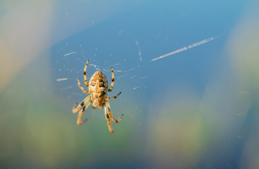 Фотография автора Ivan Karpoff