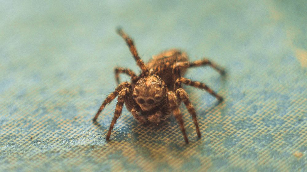 Фотография автора Ivan Karpoff