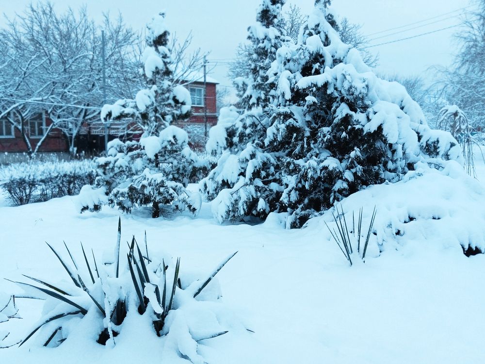 Photograph by Светлана Зубанова