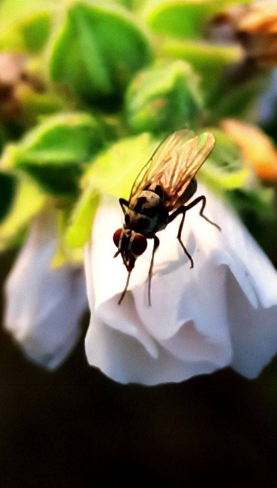 Photograph by Наталия Крайник