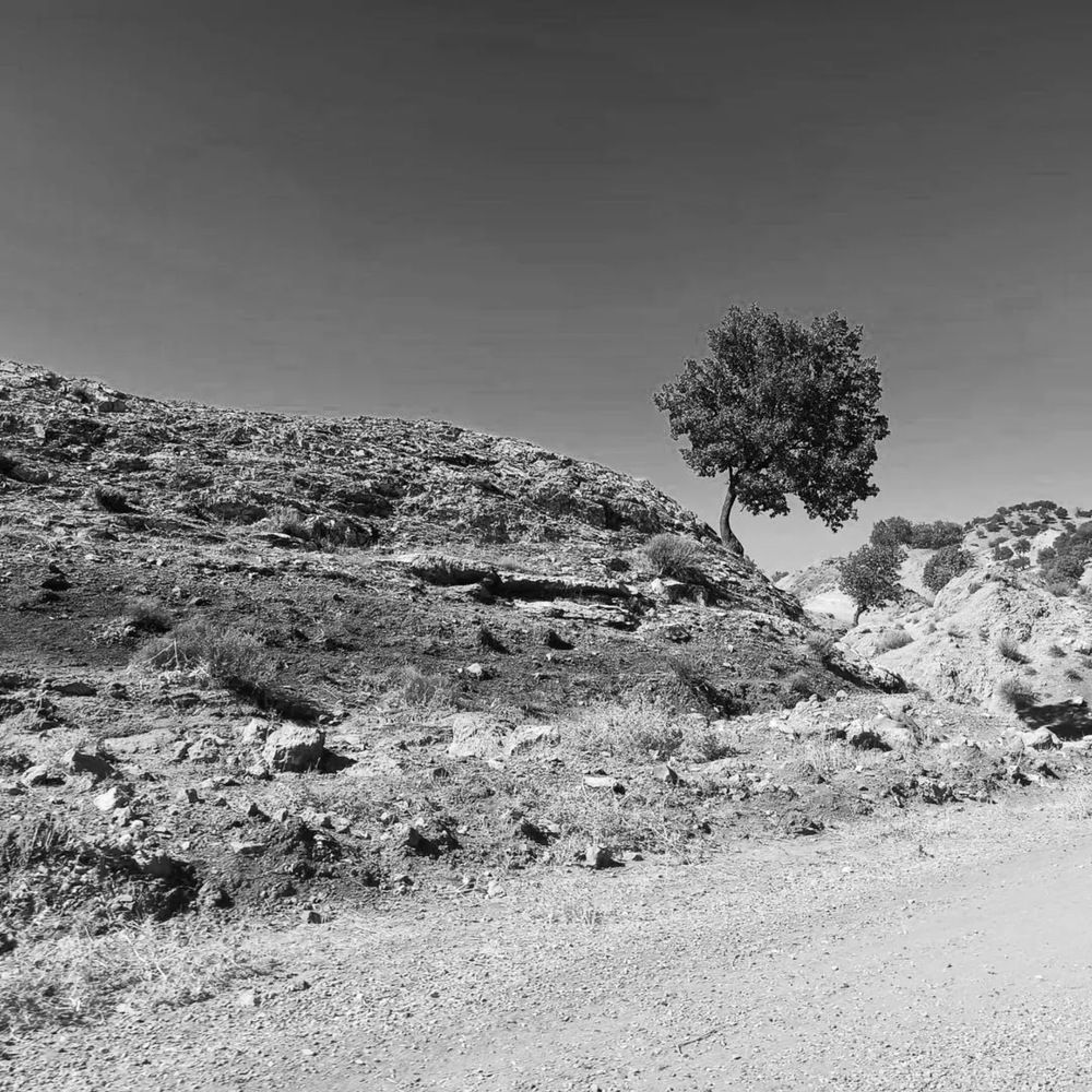 Photograph by اسما رشیدی