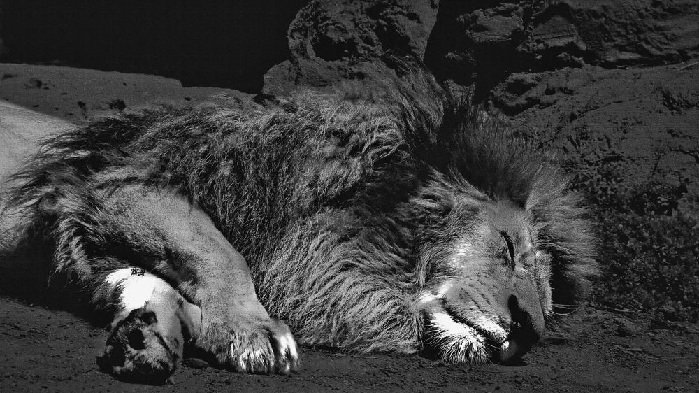 Photograph by Aleksandr Larionov