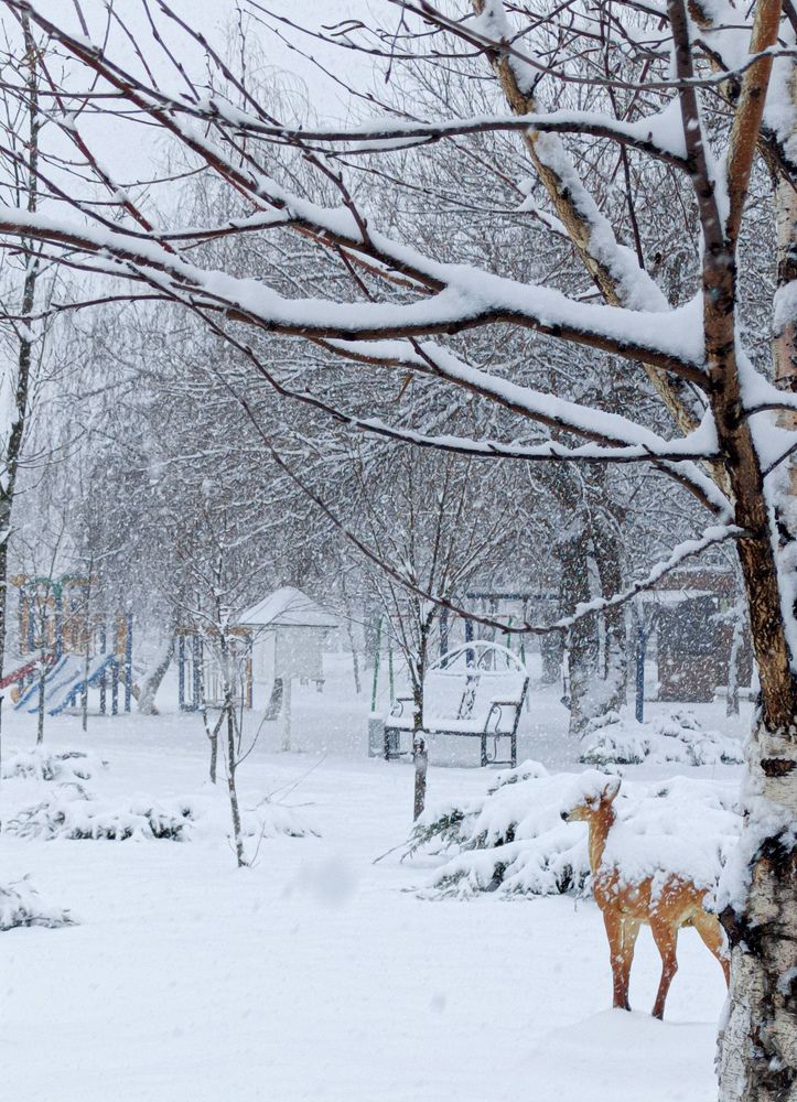 Photograph by Татьяна Долгушева