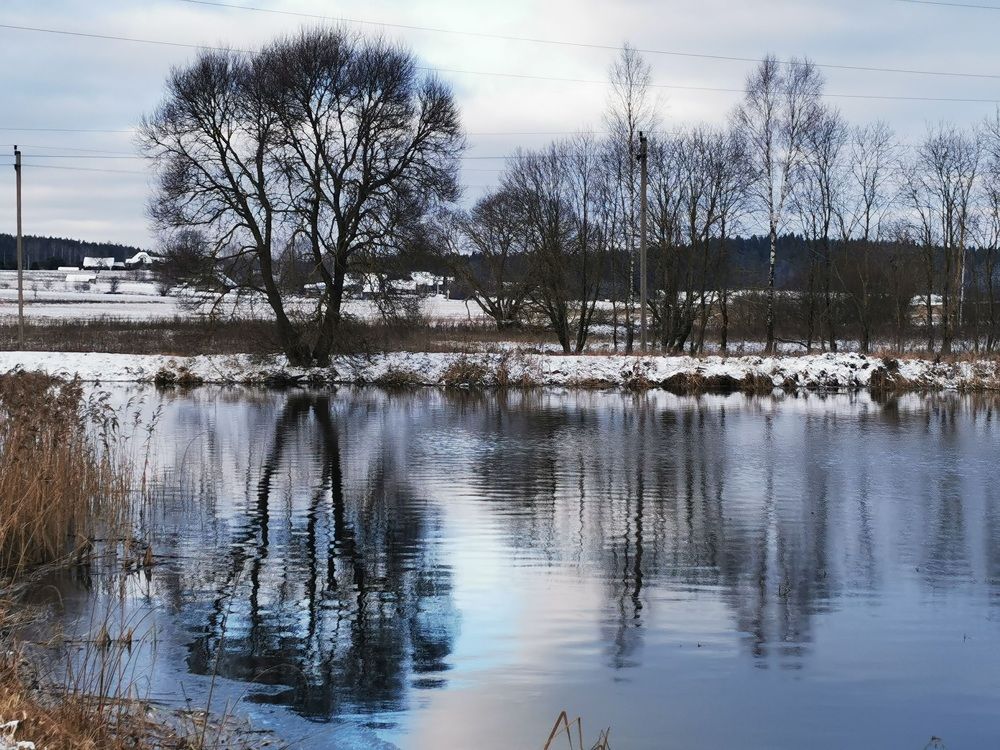 Фотография автора Рутковская Жанна