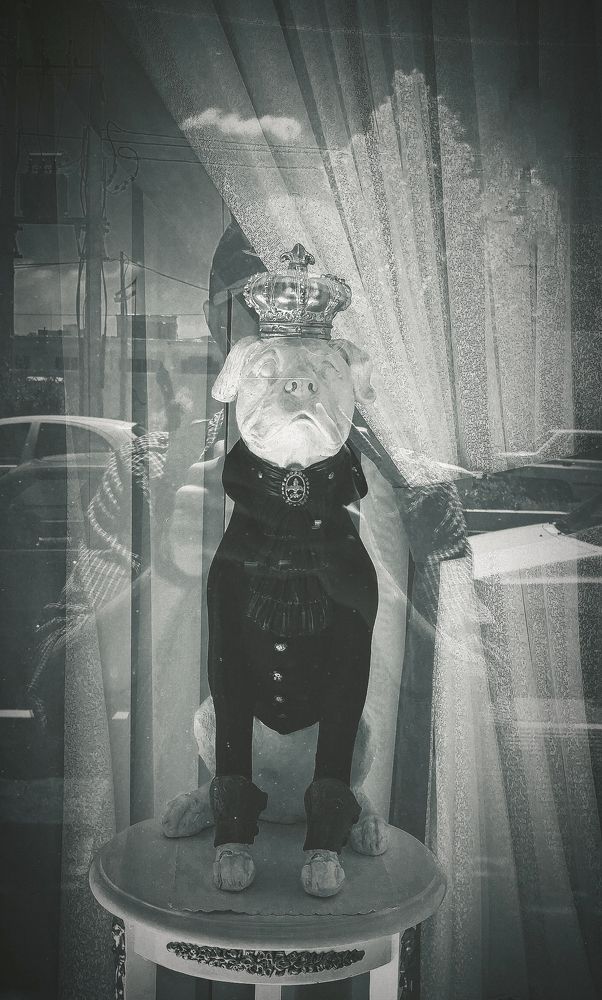 Photograph by Pourya Darband Yourdshahi