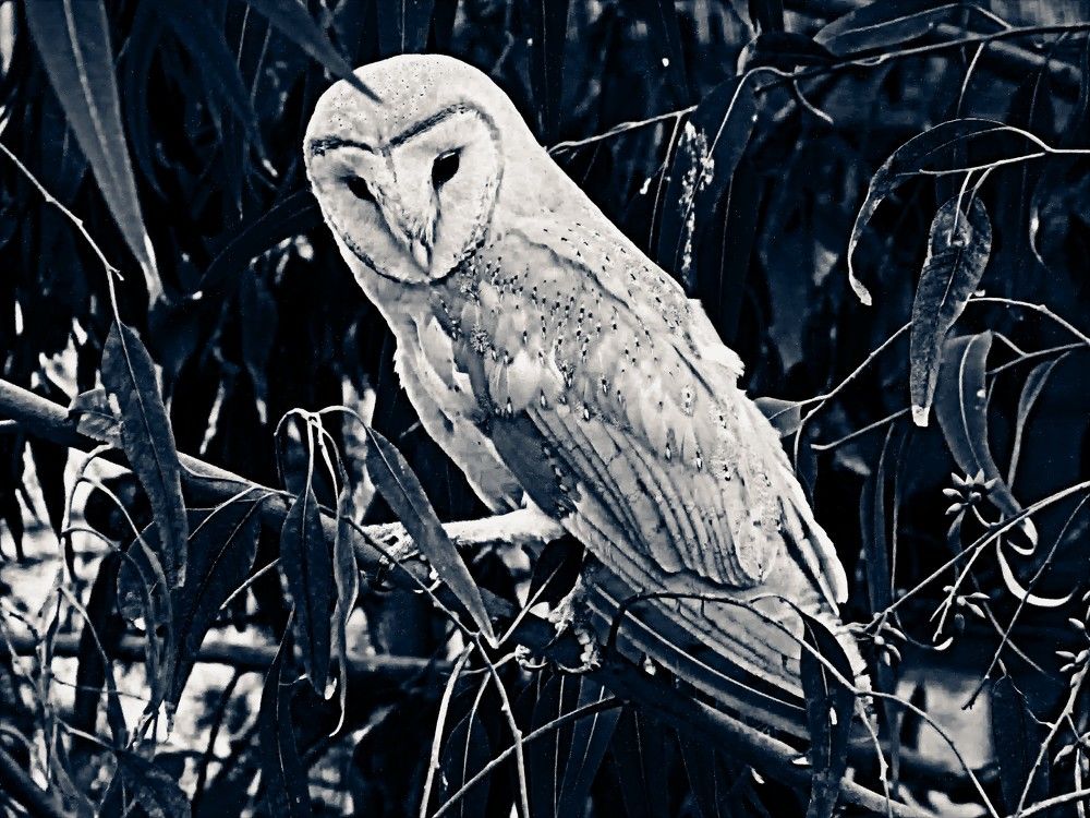 Фотография автора Сергей Рапопорт