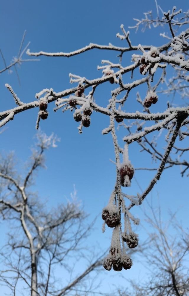 Photograph by Наталья Круглова