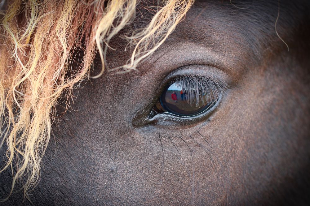 Photograph by Delphine Gazel